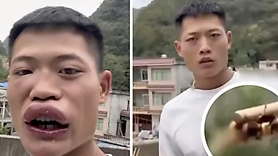 랄랄 집 환풍기에 말벌 떼…'처소 마련한 듯' 소방서 연락 안내