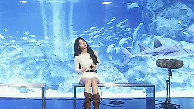 아쿠아리움에서 만난 정은지의 목소리, '파도 (i love LOVE)' 라이브 무대 공개