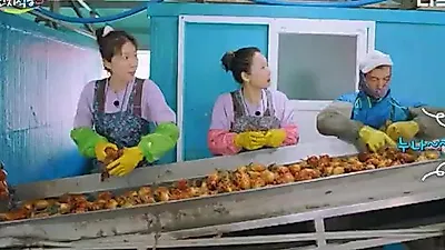 '언니네 산지직송3' 염정아·노윤서, 1.8톤 멍게 더미 앞에 멈춰선 이유