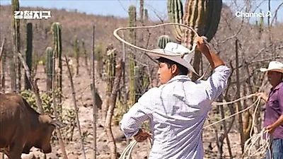 チョン・ジョンヒョン、電波も届かぬメキシコ荒野へ…馬とロープで生きるバケロを追う